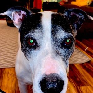 Meet your Posher, Kaimana